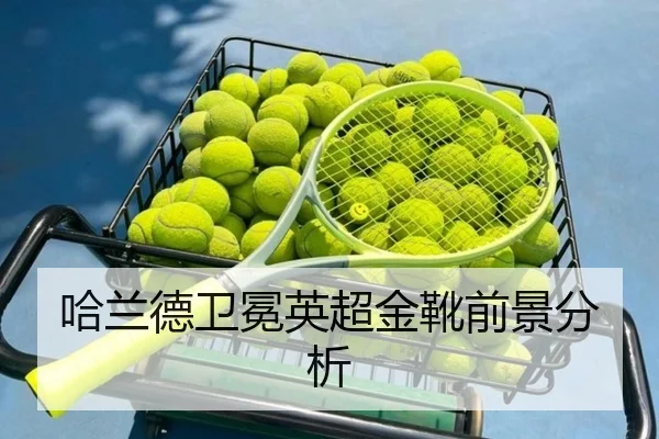 哈兰德卫冕英超金靴前景分析